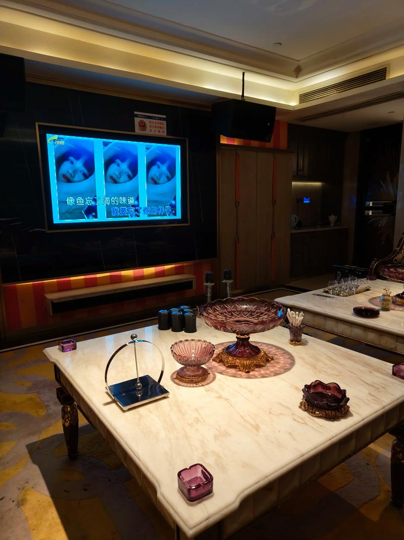 哈尔滨商务ktv哪里有商务ktv推荐-五常市ktv预订